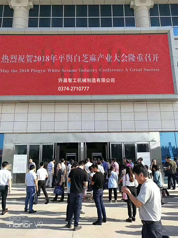 平輿白芝麻大會(huì)場外