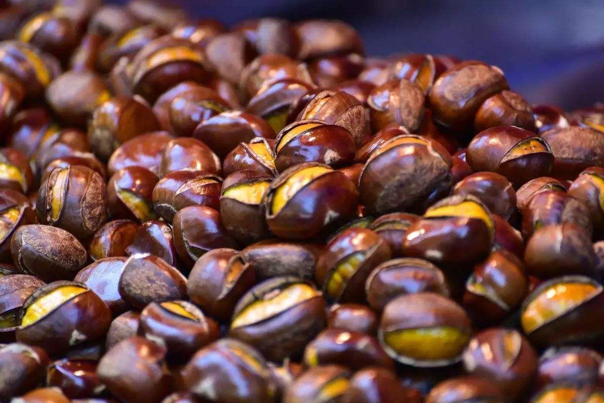 炒板栗機(jī)器