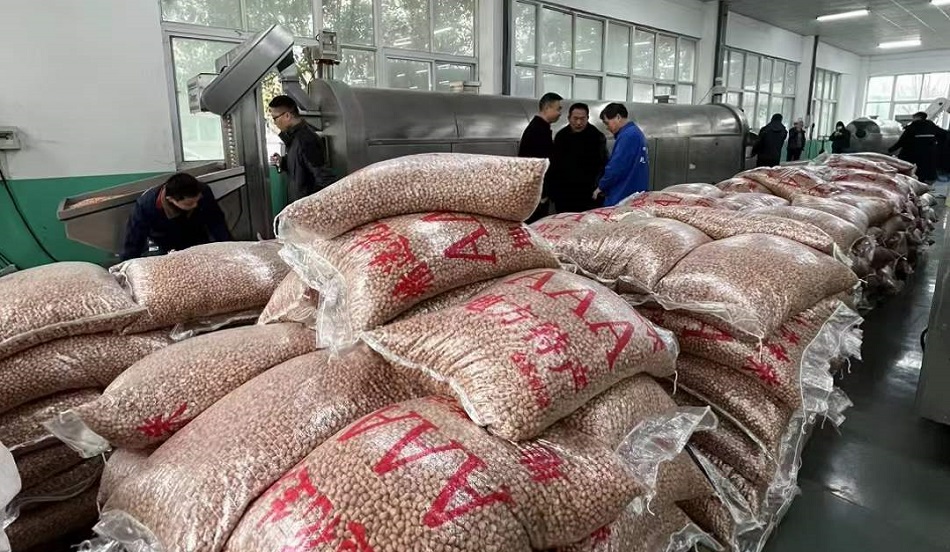 許昌智工炒貨機(jī)