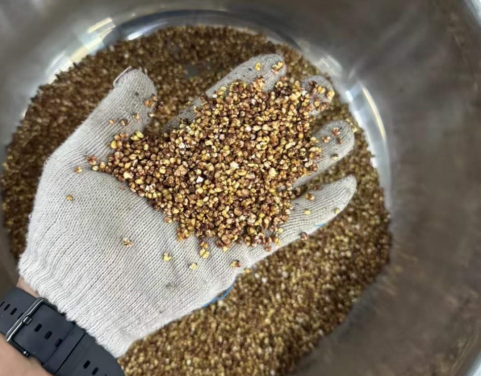 許昌智工炒苦蕎設備