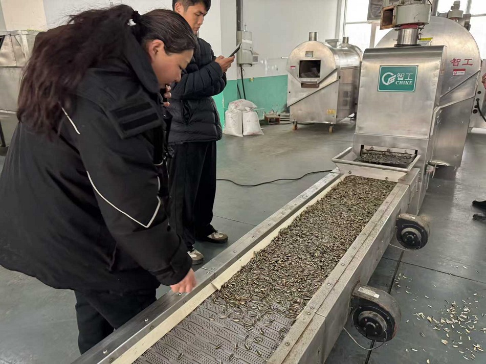 流水線電磁炒貨機(jī)