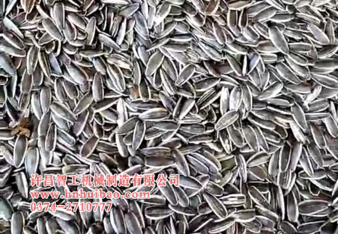 電磁炒瓜子機(jī).jpg 電磁炒瓜子機(jī).jpg